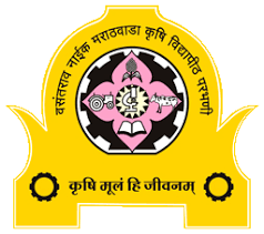vasantrao naik 